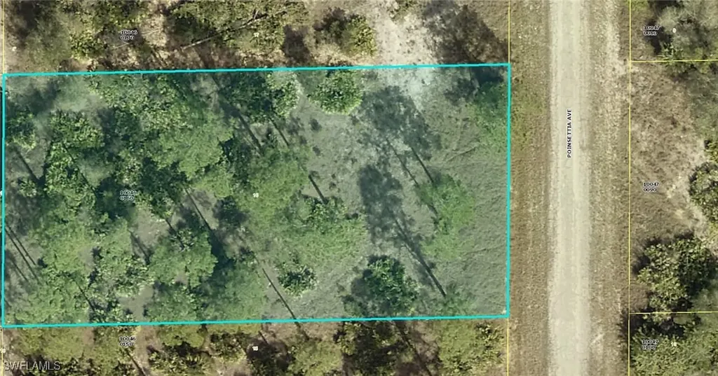 1507 Poinsettia Avenue Lehigh Acres FL 33972