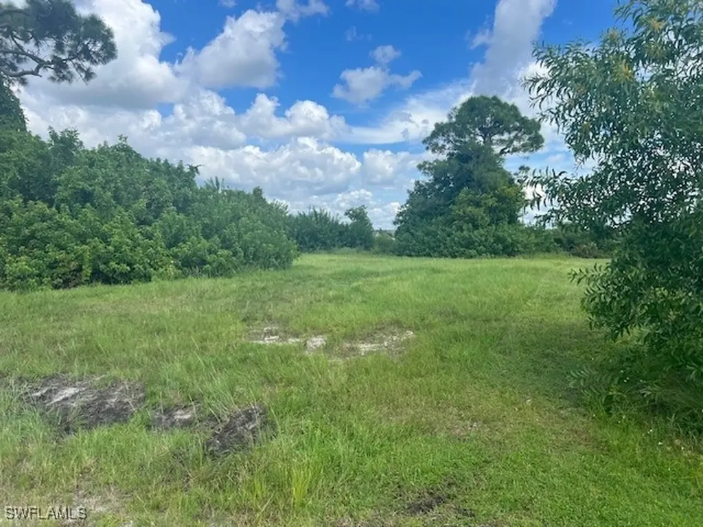 1317 NW 3rd Place Cape Coral FL 33993