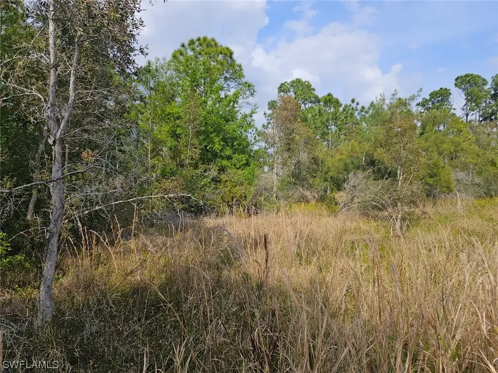 29372 Hazelwood Drive Punta Gorda FL 33982