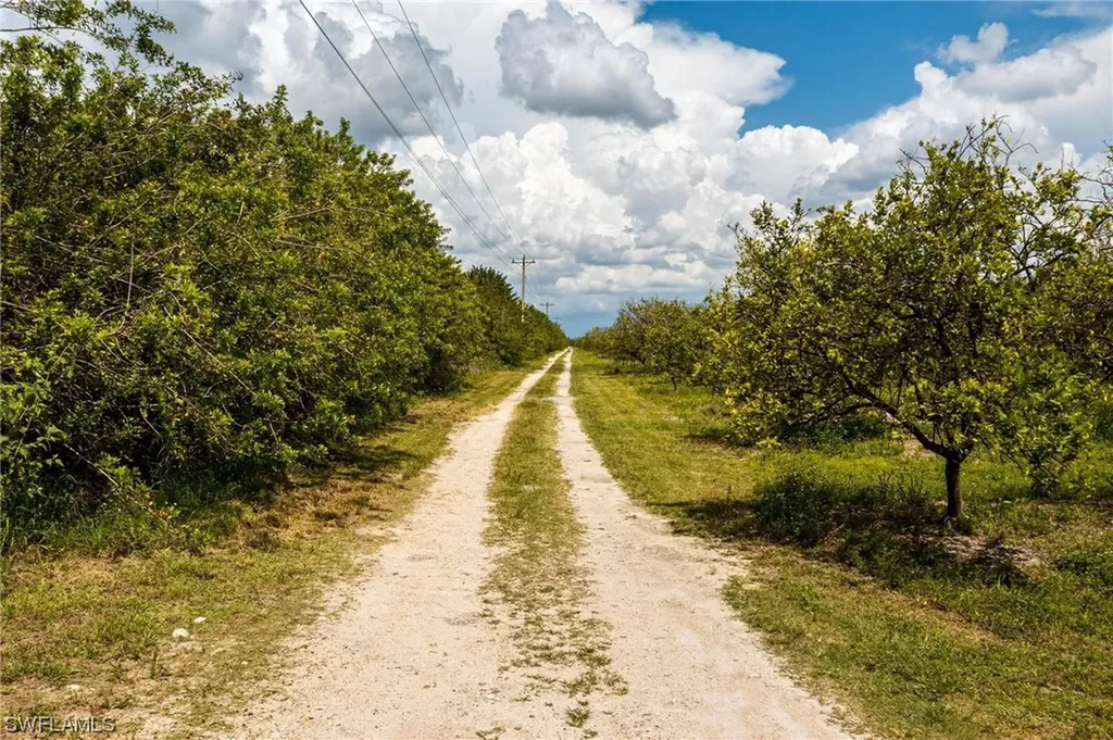 21995 Carter Road Estero FL 33928