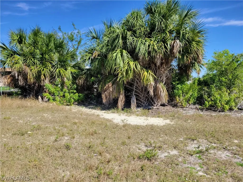 1015 NW 33rd Avenue Cape Coral FL 33993