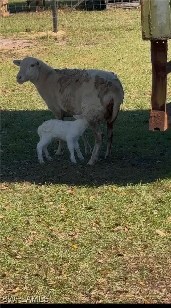 13434 Tangelo Ave, La Deca Clewiston FL 33440