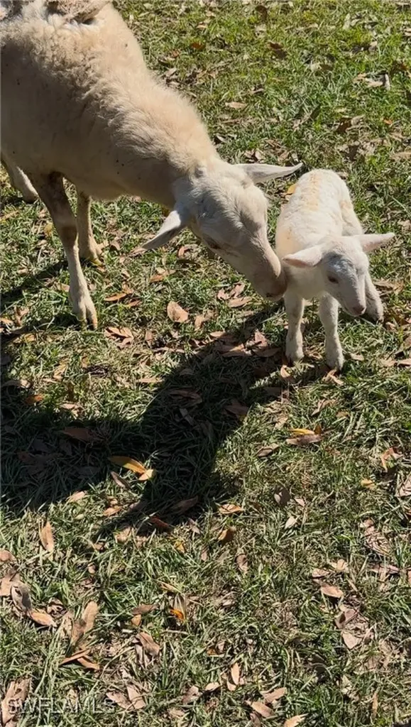 13434 Tangelo Ave, La Deca Clewiston FL 33440