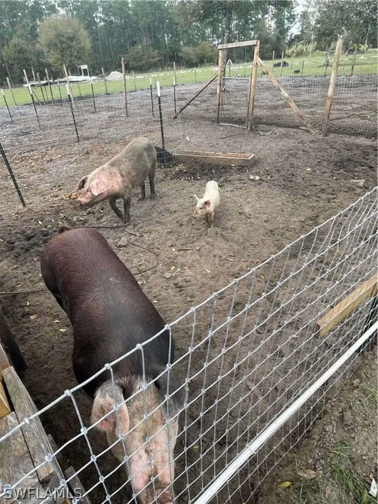 13434 Tangelo Ave, La Deca Clewiston FL 33440