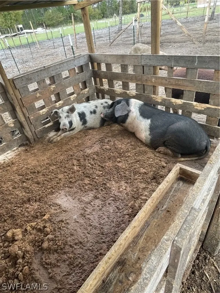 13434 Tangelo Ave, La Deca Clewiston FL 33440