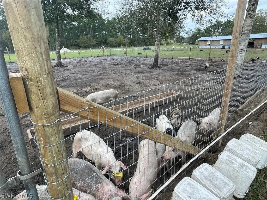 13434 Tangelo Ave, La Deca Clewiston FL 33440