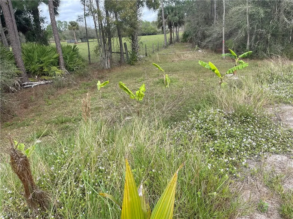 13434 Tangelo Ave, La Deca Clewiston FL 33440