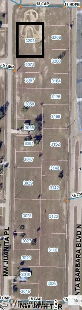 3203 NW Juanita Place Cape Coral FL 33993
