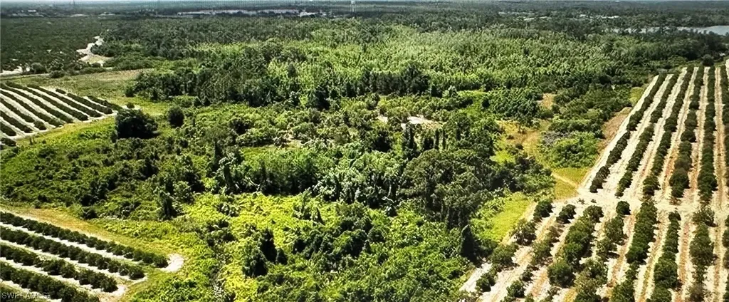 275 S Bear Pointe Drive Lake Placid FL 33852