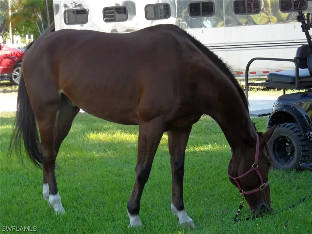 7200 Carousel Lane Fort Myers FL 33966