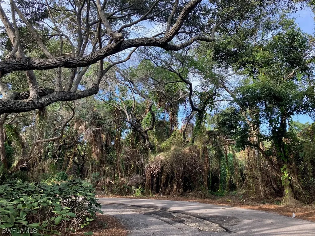 394 Wild Coffee Lane Marco Island FL 34145