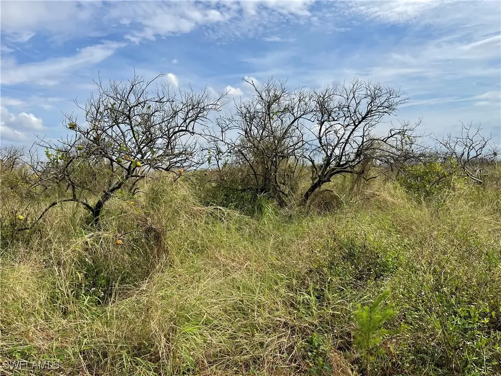 5th Road Labelle FL 33935