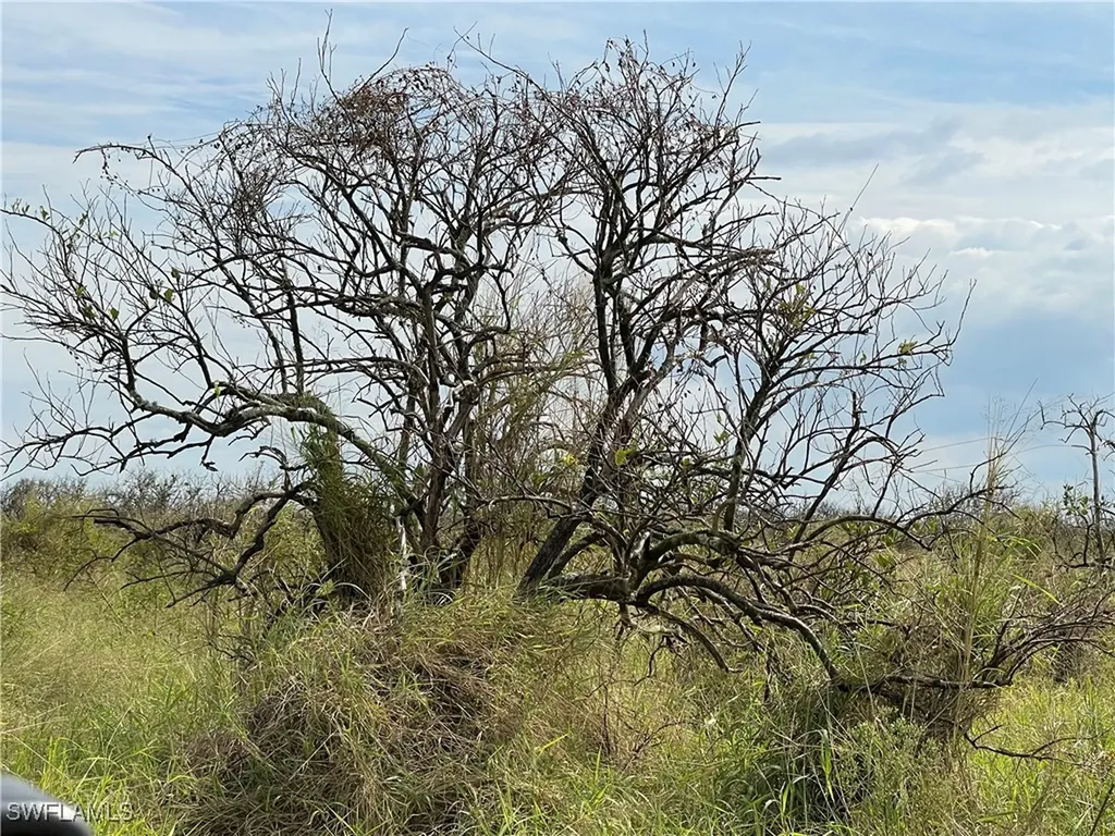 5th Road Labelle FL 33935