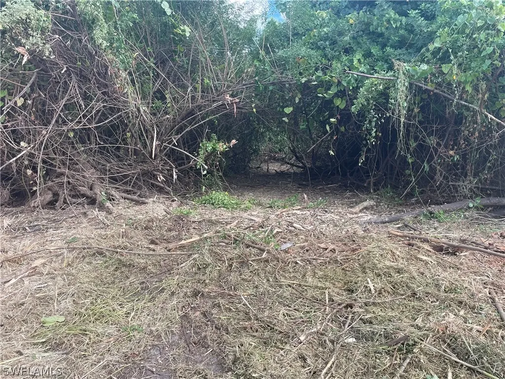 4741 Lone Pine Court Fort Myers FL 33905