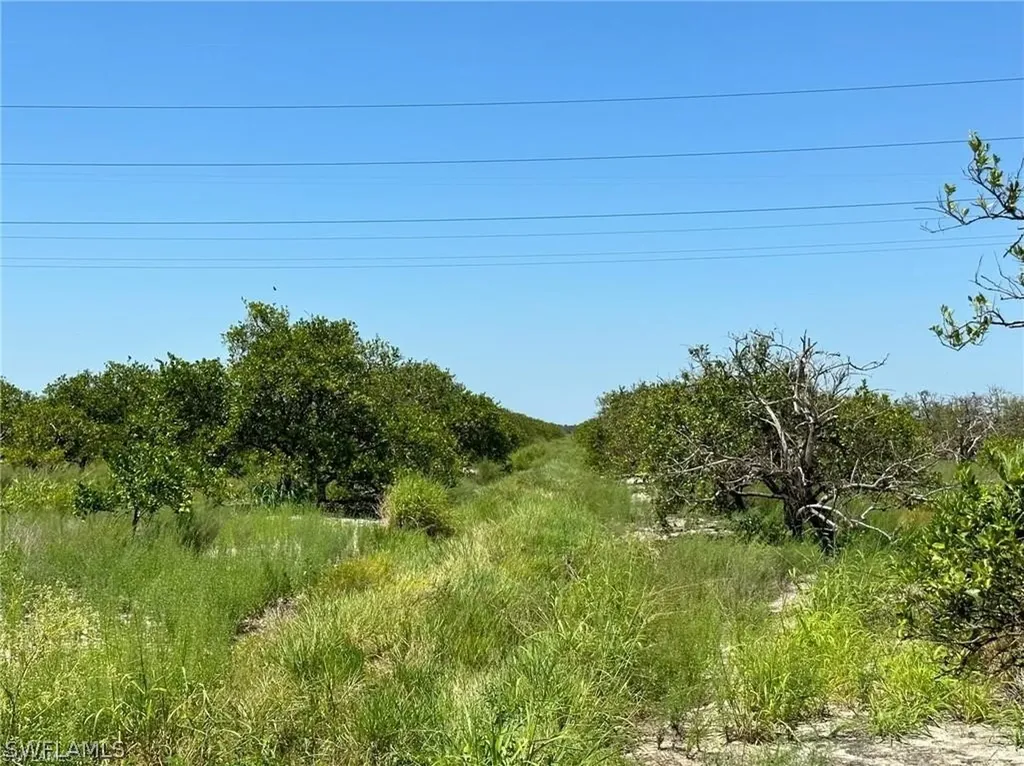 6TH Sears Road Labelle FL 33935