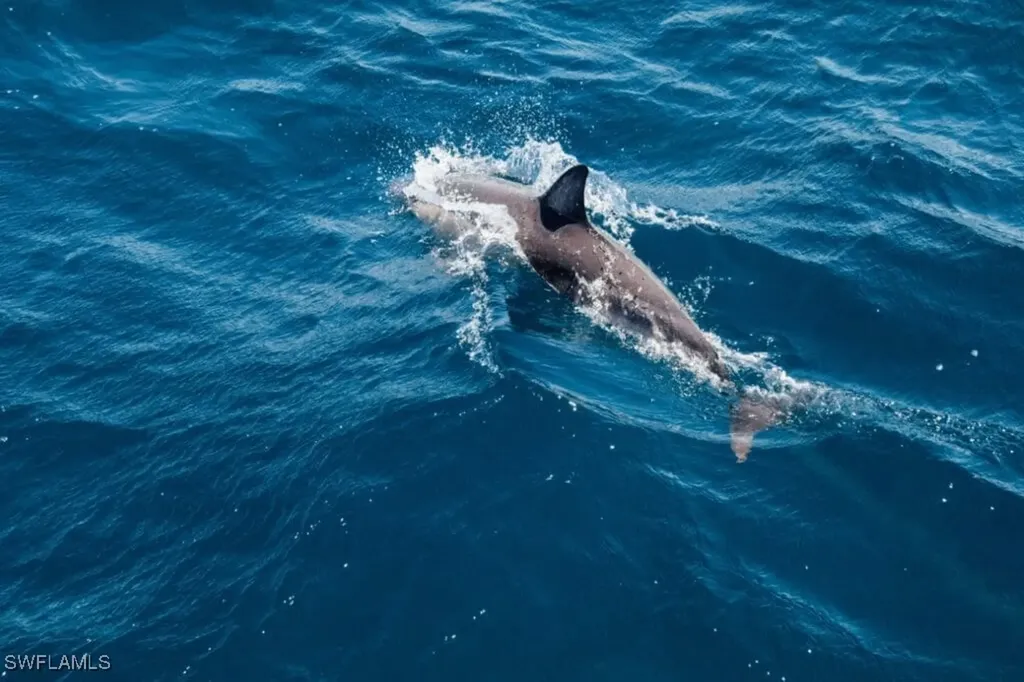 4765 Estero Boulevard Fort Myers Beach FL 33931