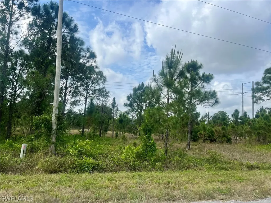 1166 Briarcliffe Street Fort Myers FL 33913