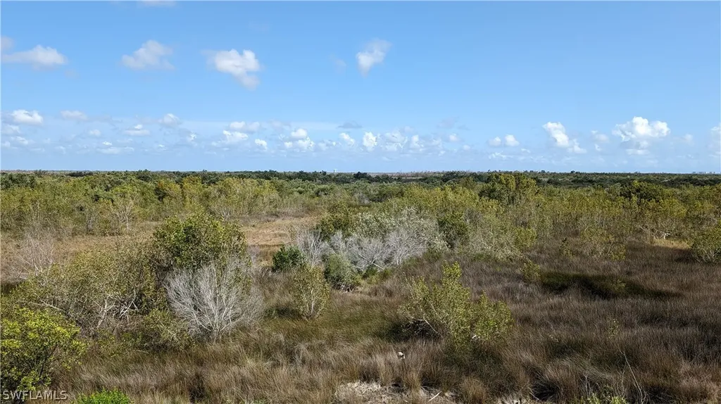 8572 Big Mangrove Drive Fort Myers FL 33908