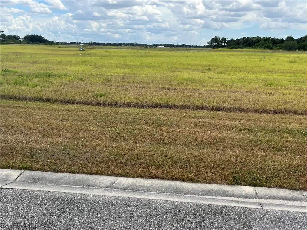 22776 Yellow Button Lane Alva FL 33920