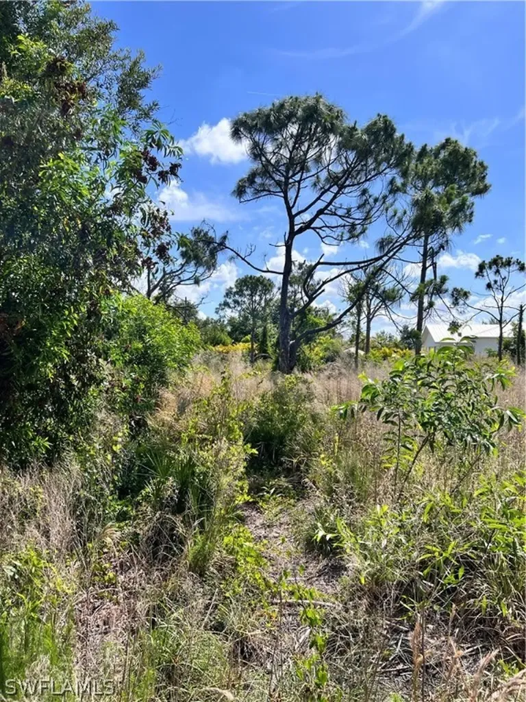 8756 Nome Court St. James City FL 33956