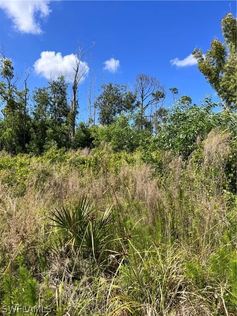 8756 Nome Court St. James City FL 33956