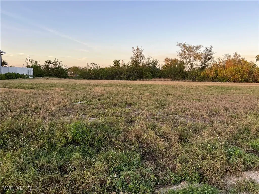 1025 NE 15th Terrace Cape Coral FL 33909