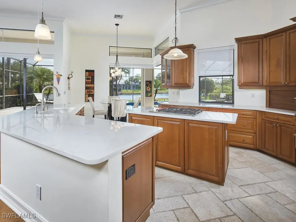 24381 Woodsage Drive Bonita Springs FL 34134