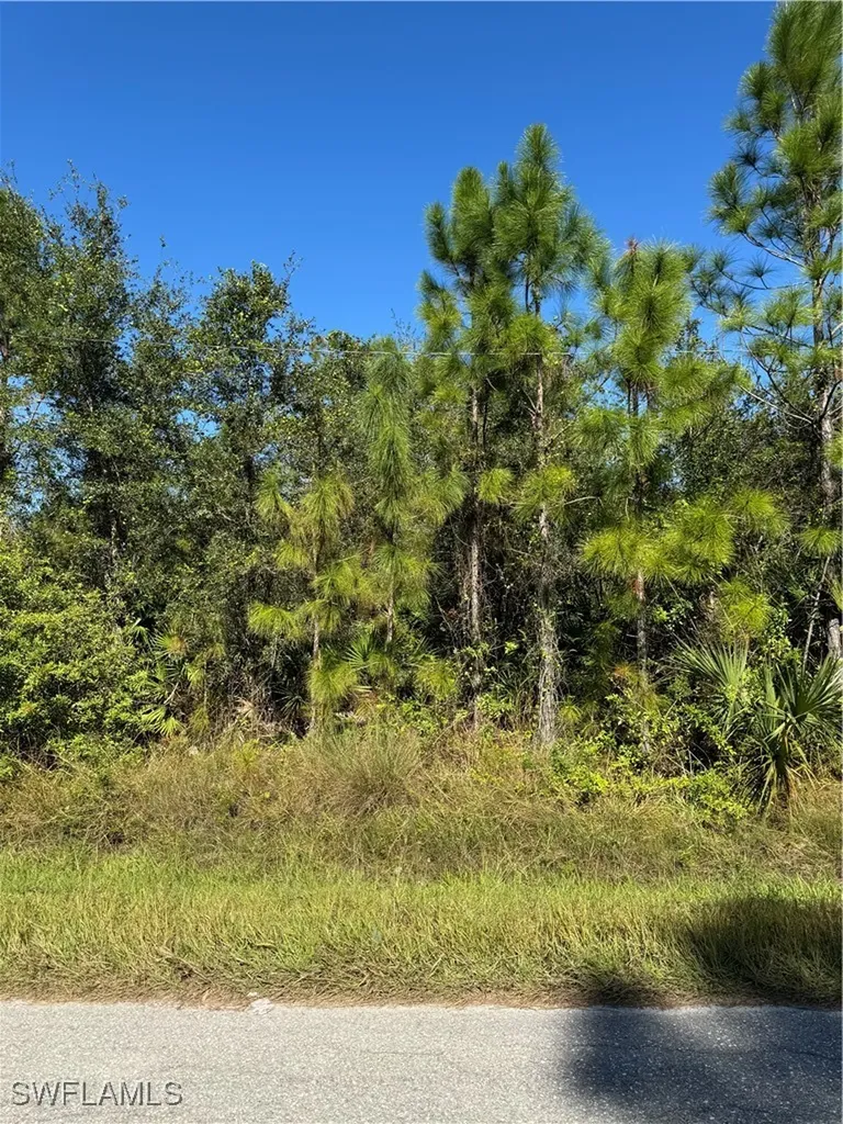 2501 E 9th Street Lehigh Acres FL 33936