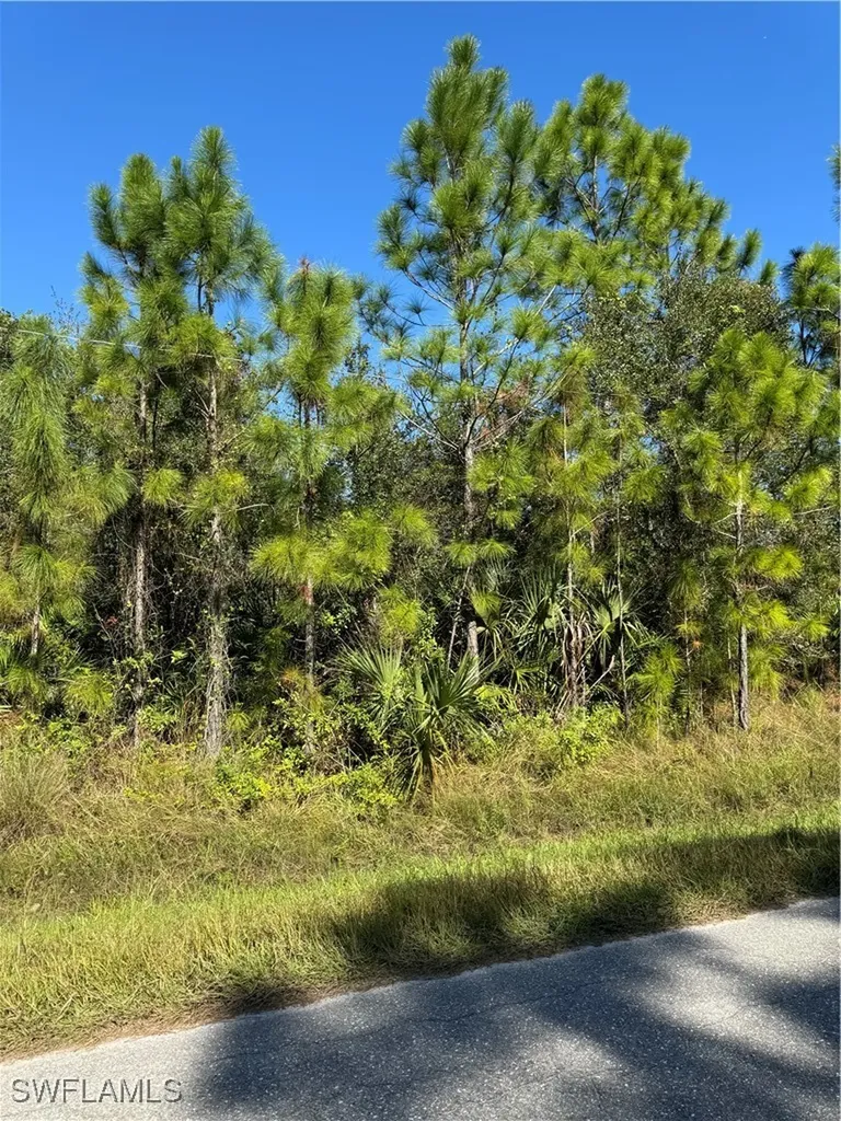 2501 E 9th Street Lehigh Acres FL 33936