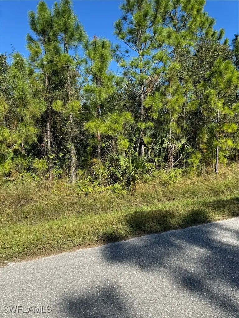 2501 E 9th Street Lehigh Acres FL 33936
