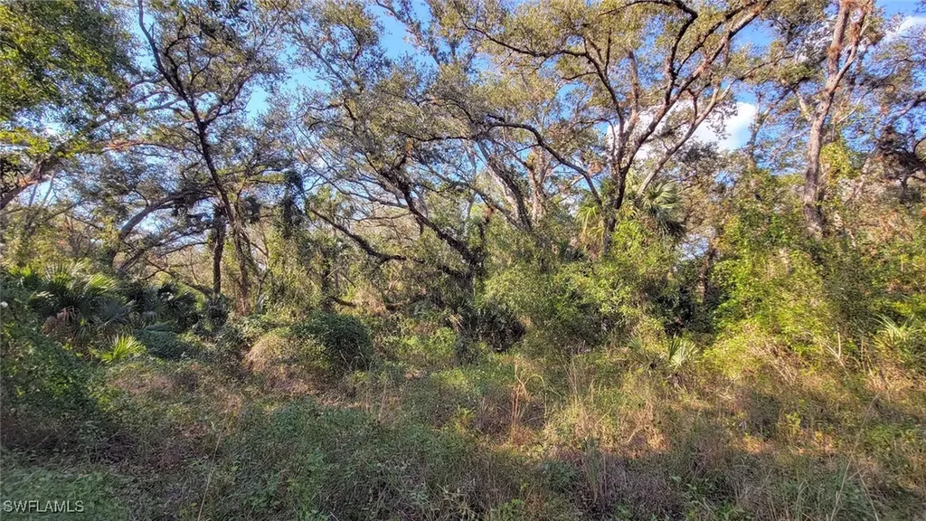 1 Catamount Road Labelle FL 33975