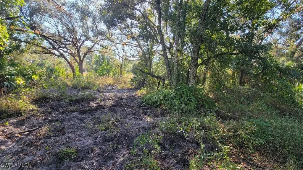 1 Catamount Road Labelle FL 33975