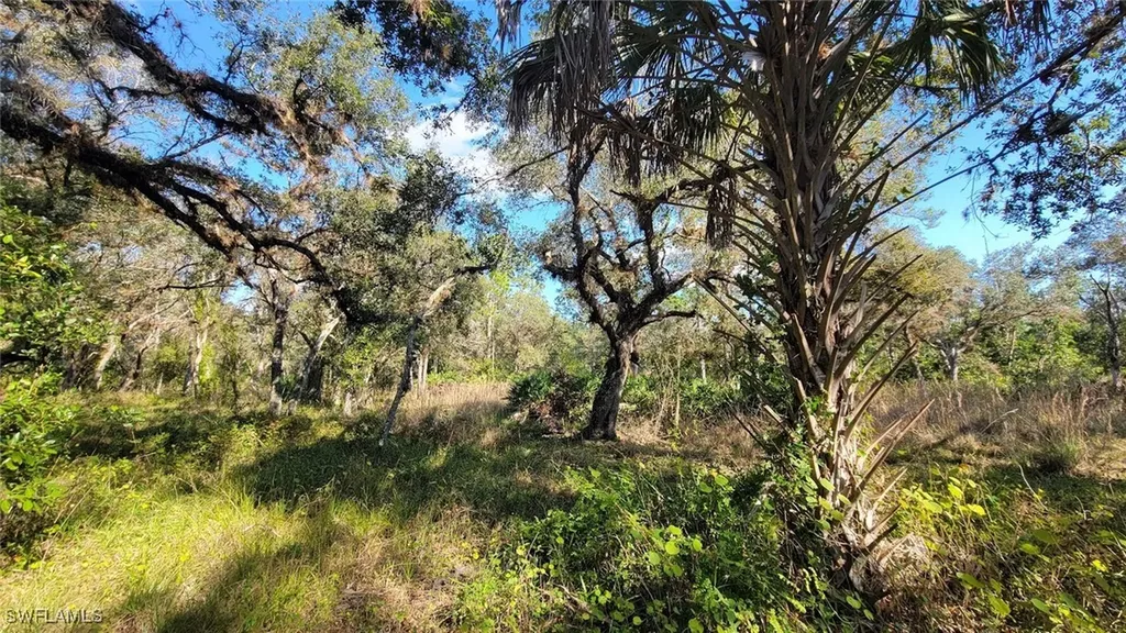 1 Catamount Road Labelle FL 33975