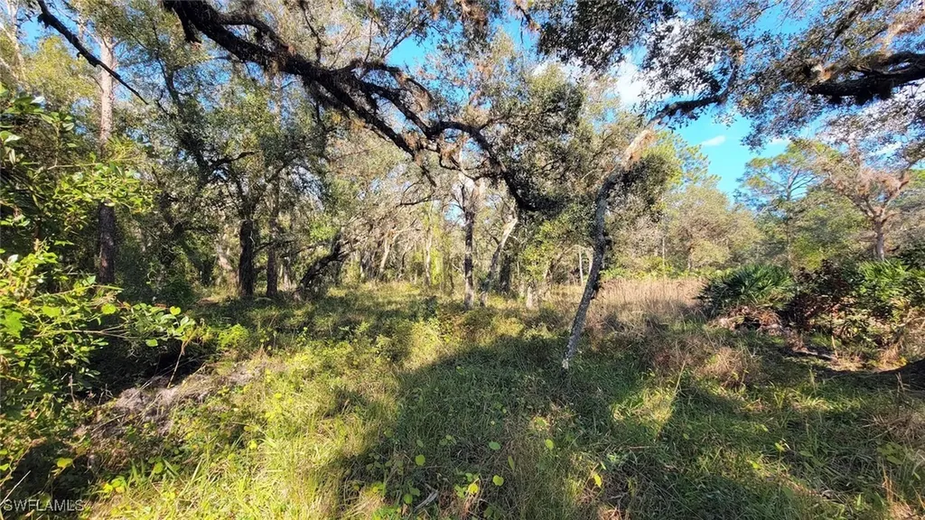 1 Catamount Road Labelle FL 33975