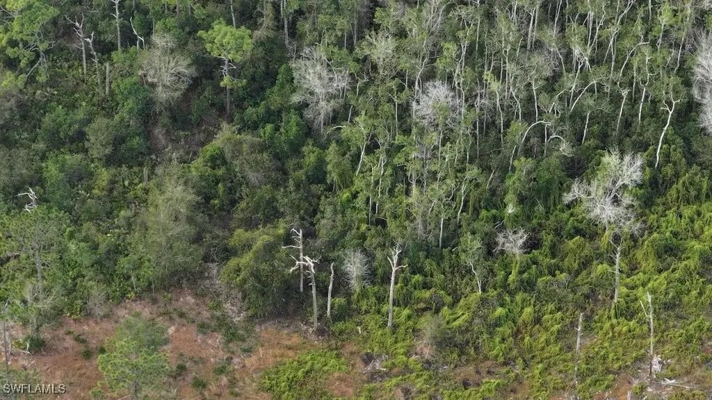 1 Catamount Road Labelle FL 33975