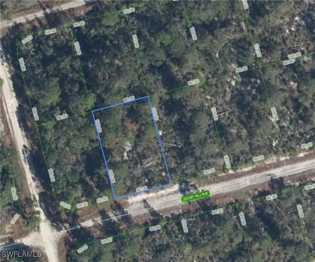 3049 Cedar Hill Avenue Lake Placid FL 33852