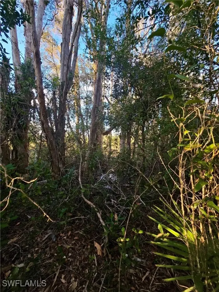 3402 39th Street SW Lehigh Acres FL 33976