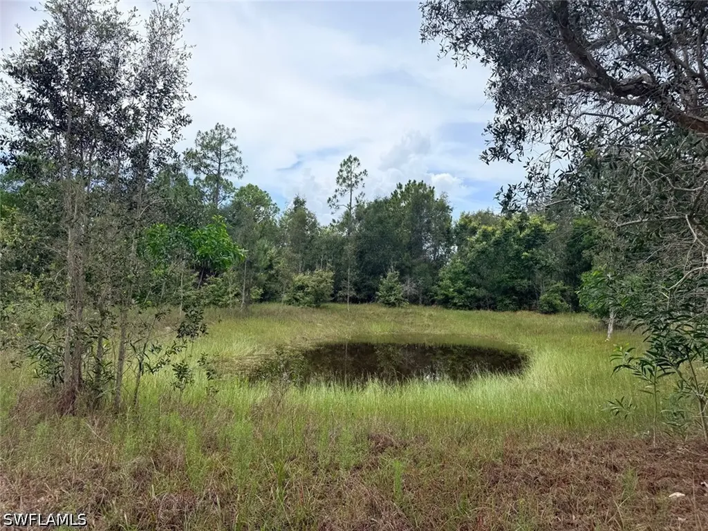 920 Sanctuary Road W Naples FL 34120