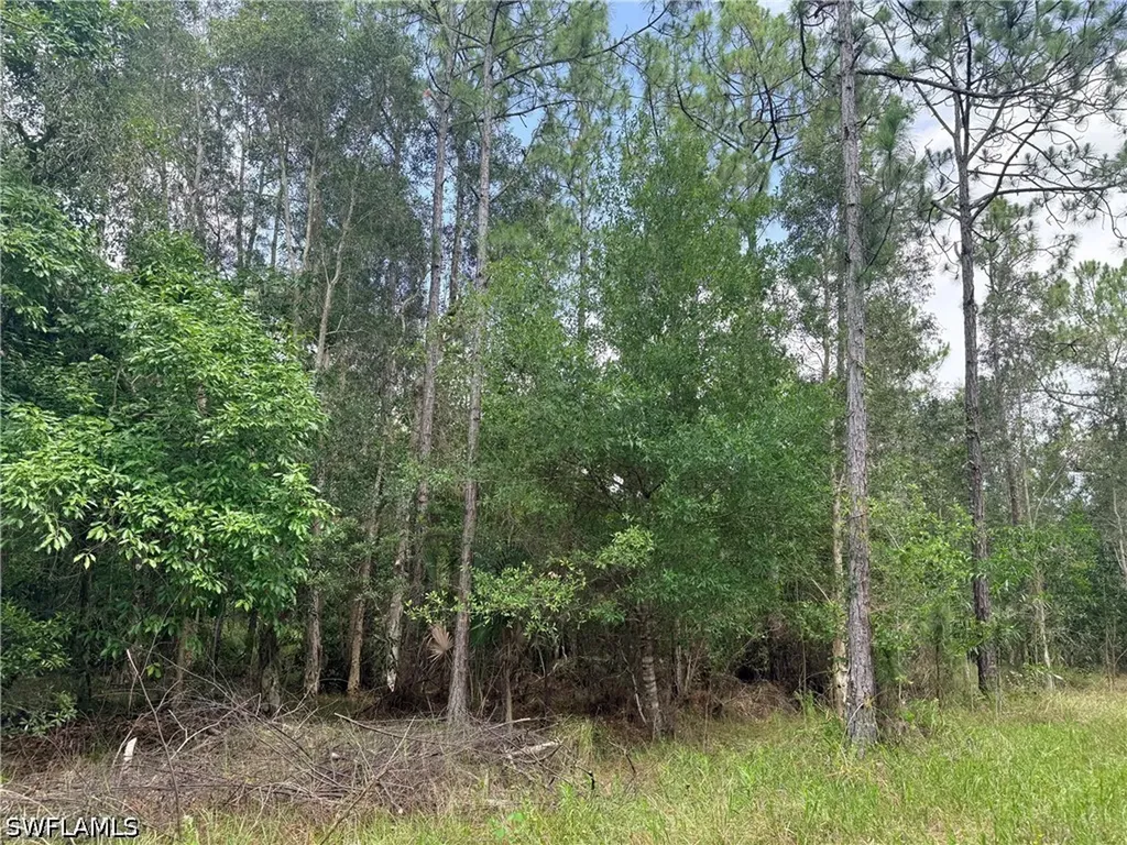 920 Sanctuary Road W Naples FL 34120