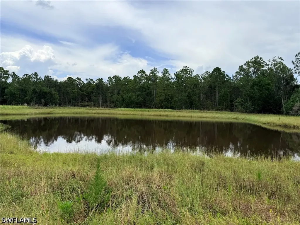 925 Purple Martin Drive Naples FL 34120
