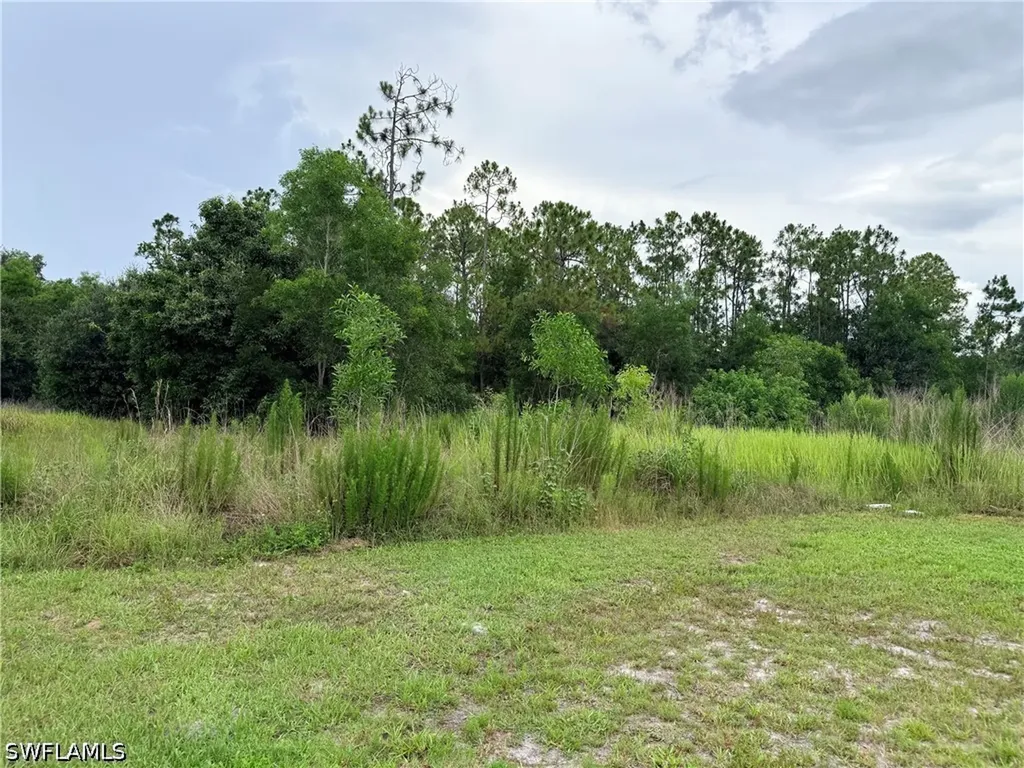 925 Purple Martin Drive Naples FL 34120