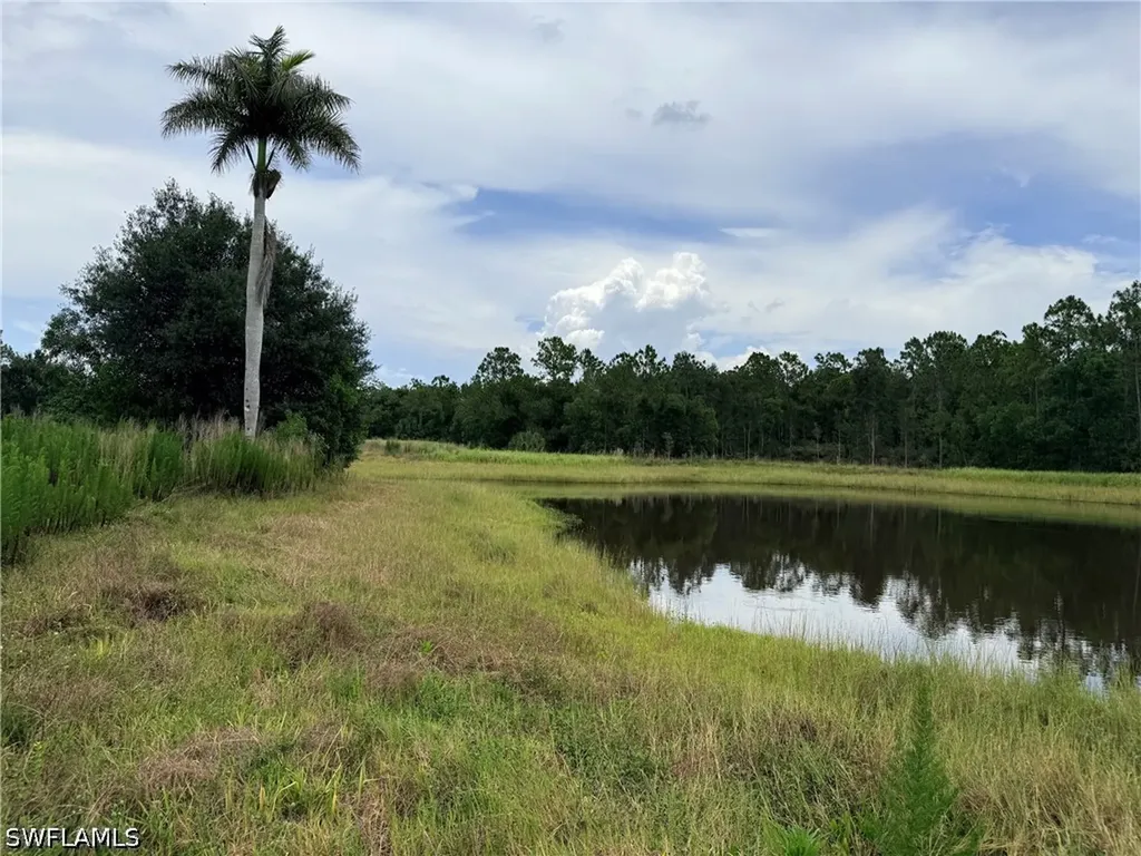 925 Purple Martin Drive Naples FL 34120