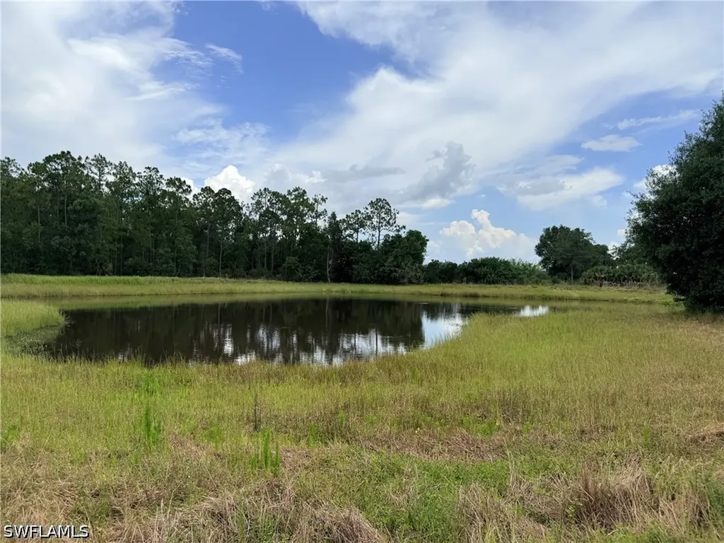925 Purple Martin Drive Naples FL 34120