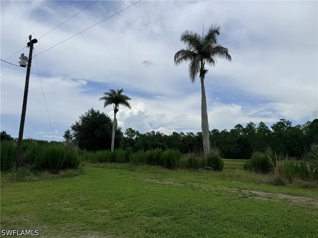925 Purple Martin Drive Naples FL 34120