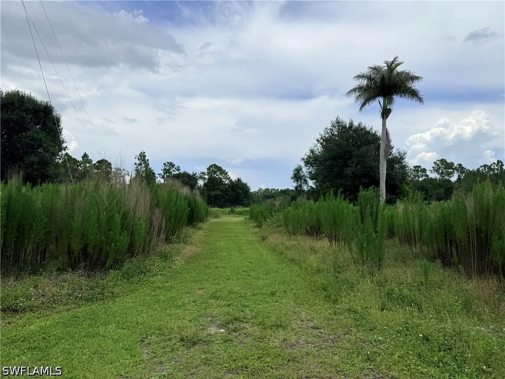 925 Purple Martin Drive Naples FL 34120
