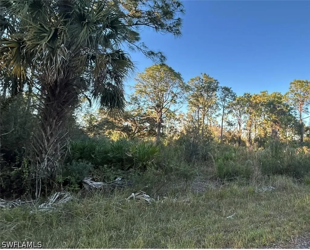 1945 Roderick Lane Lehigh Acres FL 33972