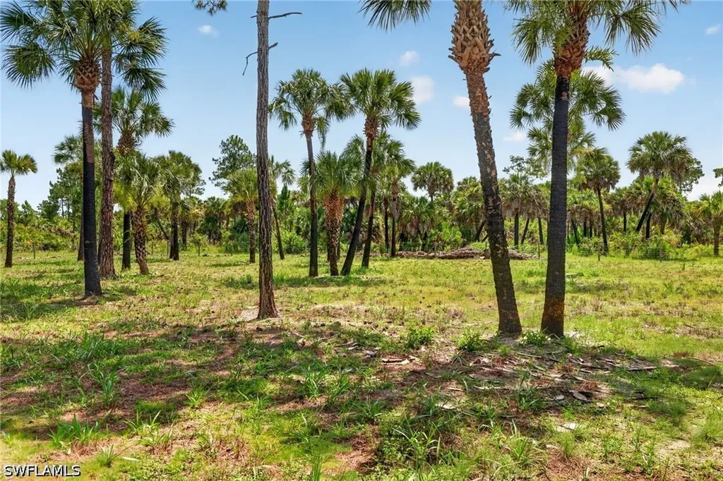Naples, Fl Ivy Way Naples FL 34117