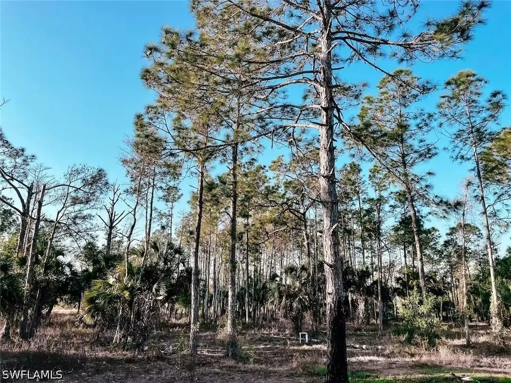 2396 50th Avenue NE Naples FL 34120