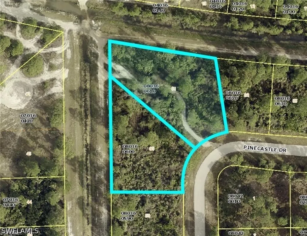 735 Pinecastle Drive Lehigh Acres FL 33974