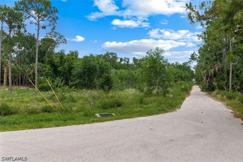 25693 Moriah Lane Bonita Springs FL 34135